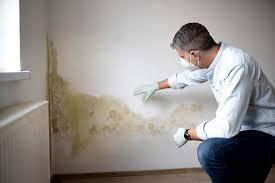 Mansfield, MO Mold Inspection Company